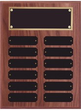 AWARDS AND GIFTS Perpetual Plaque Award 12 Name Plate Holder Board 9 x 12 Inches