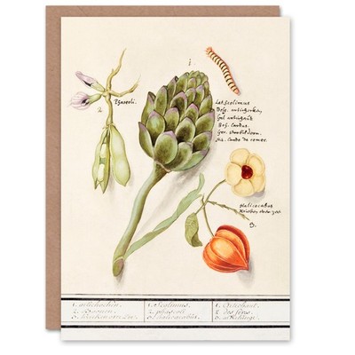 Anselmus de Boodt Kunstkarte Artischocke Breitbohnen Grundkirsche