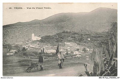 BBDP8-0870-ALGERIA - TENES - View of the old tenes