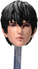 1/6 Scale Male Head Sculpt,Asian Boy Kylin Zhang Figure Doll Plastic Hair PVC So