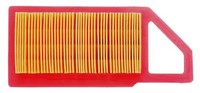 Castelgarden Luftfilter Stiga Ggp TRE0702-WM12.5