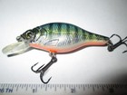 SPRO prime crankbait 25 fishing lure — photo 3