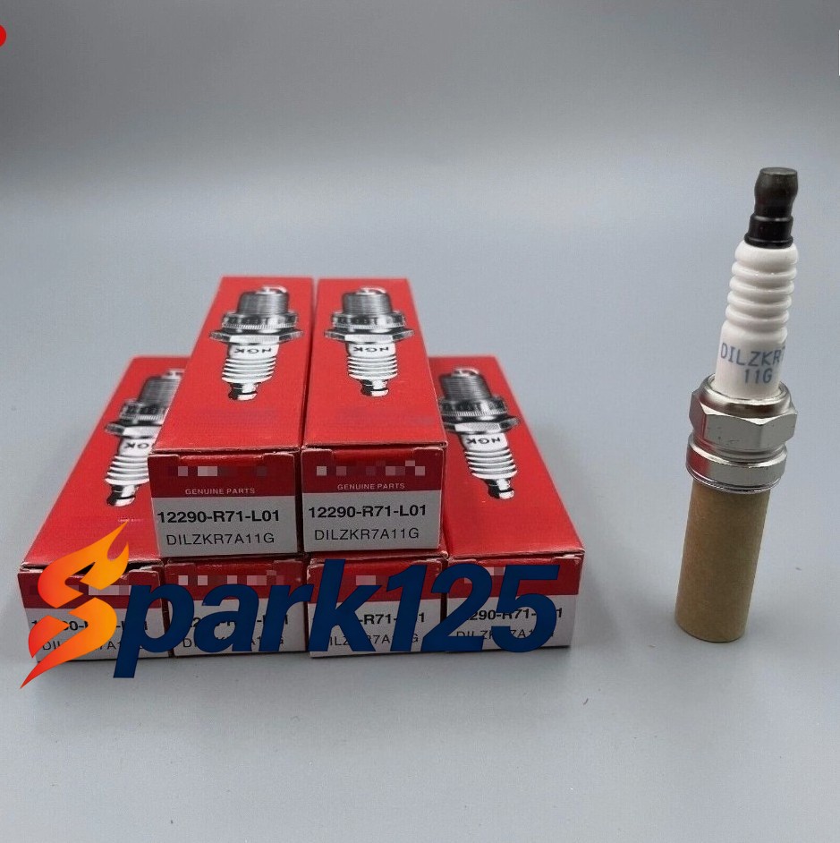 Spark Plug-Laser Iridium High Ignitability NGK 92924DILZKR7A11G6PCS