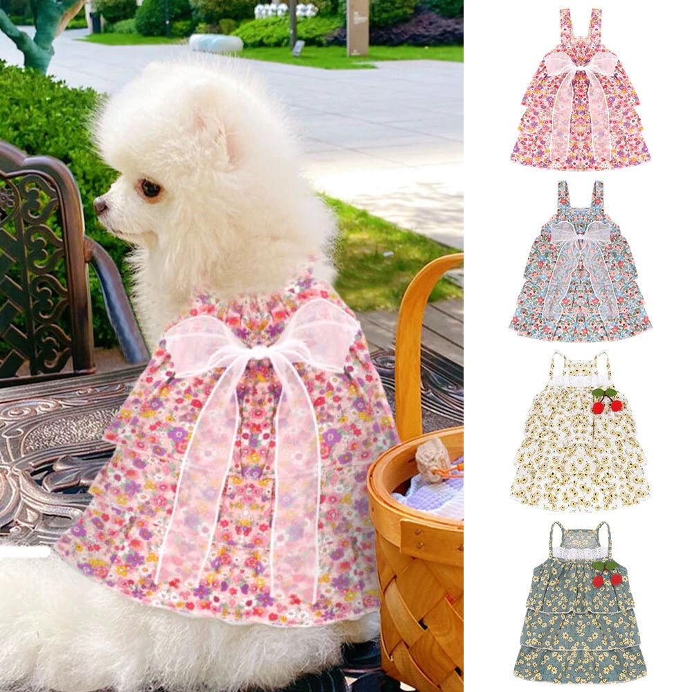 Dog top summer dress