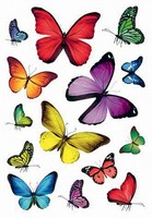 "Herma Sticker Decor \"Schmetterlingsvielfalt\" 3 Blatt à 14 Sticker"