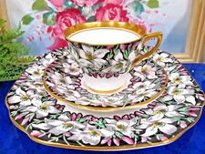 ROSINA tea cup and saucer painted orchid pattern  teacup England 1930's trio