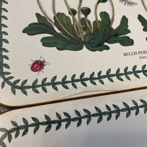 Portmeirion Botanic Garden Rectangle Placemats Set of 6 Cork Backed