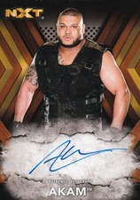 2017 TOPPS WWE NXT AUTOGRAPHS BRONZE PARALLEL AKAM /99 #RA-AK