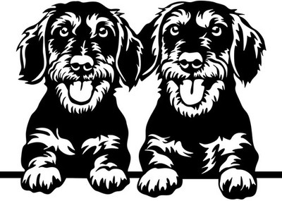 DACKEL TECKEL Aufkleber - Rauhaardackel Autoaufkleber - sticker - Dackel Kopf#92