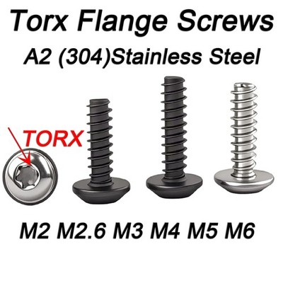 Torx Stainless Steel Self-Tapping Screws Flange Pan Head Panel/Body Screws