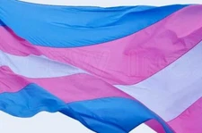 Transgender Pride Flag 3x5FT Grommets LGBTQIA Trans Equal Parade LGBTQ
