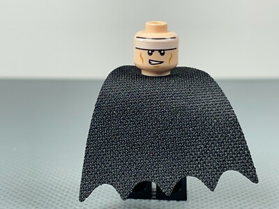 Batman 76179 76181 76183 LEGO DC Super Heroes MiniFigure Figure | eBay
