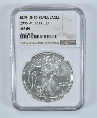 2006-W Burnished Silver Eagle MS69 NGC Brown Label *4853