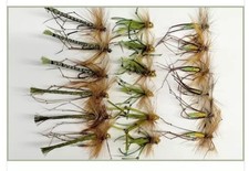 18 Per Pack, Barbless Olive Daddy Longlegs, detached,flexi, tipped  Size 10/12