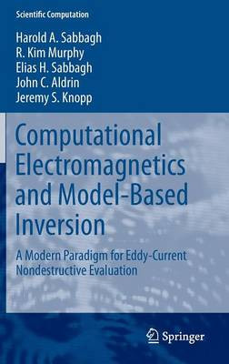 Computational Electromagnetics and Model-Based Inversion - 9781441984289