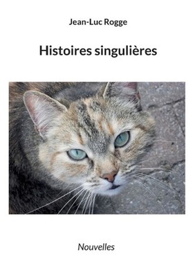 Histoires singulires by Jean-Luc Rogge (French) Paperback Book