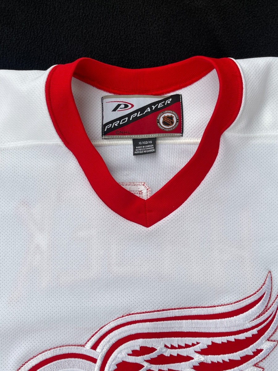 Dominik Hasek Signed Detroit Red Wings 2002 & 2008 Cup Pro Player