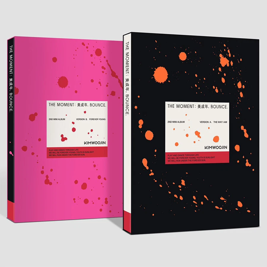 Hoooook The Art of Woojin WOOJIN ポスター付き Hoooook The