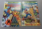 Lot of 2 1977 The Amazing Spider-man Marvel Comics   #172, #173.