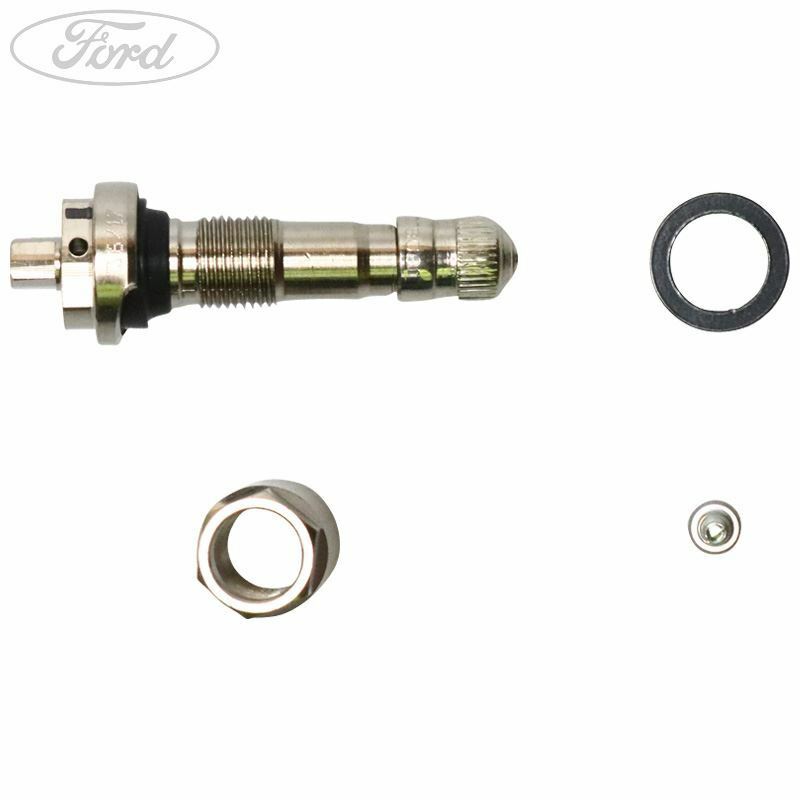 Genuine Ford Mustang Shelby Version 19 