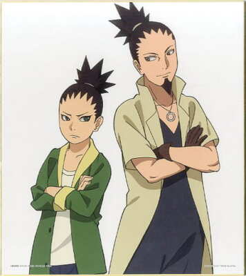 NARUTO BORUTO nice Shikamaru Nara Shikishi Card toy Collection