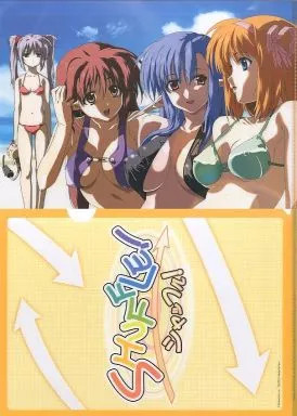 Shuffle! A4 Clear File Set (4 People/Swimsuit) Anime Merchandise