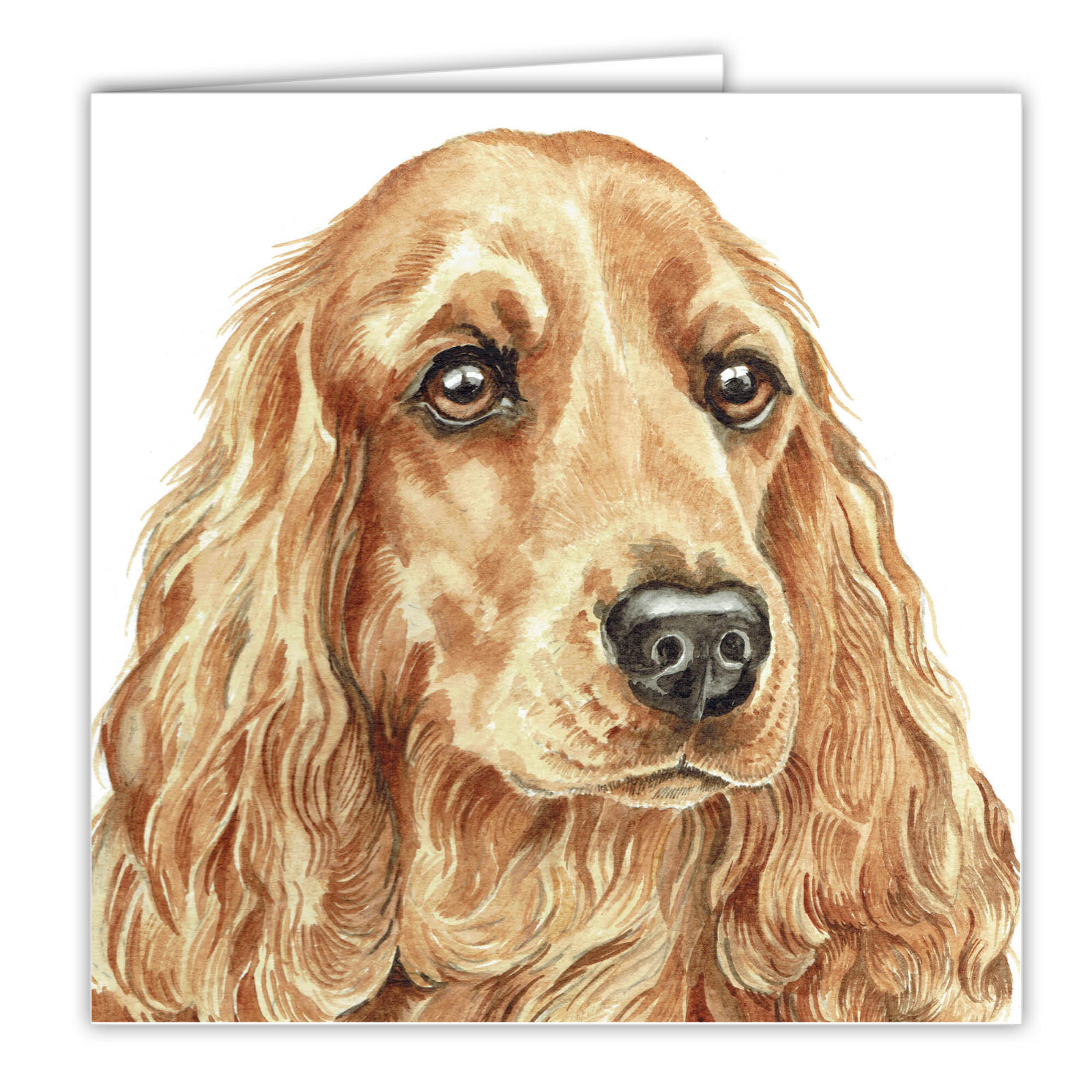 Golden Cocker Spaniel greetings card dog blank card dogs Cockers Spaniels cards