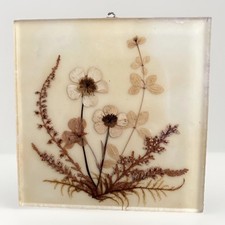 Dried Flowers From The German Bavarian Alps Handmade Acrylglas 4.5” Wall Decor