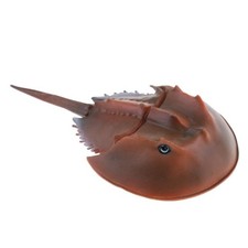 Realistische Tier Modell Figur Figur Wissenschaft Natur Spielzeug