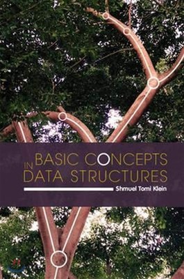 Basic Concepts in Data Structures, Klein, Shmuel Tomi, Very Good condition, Book