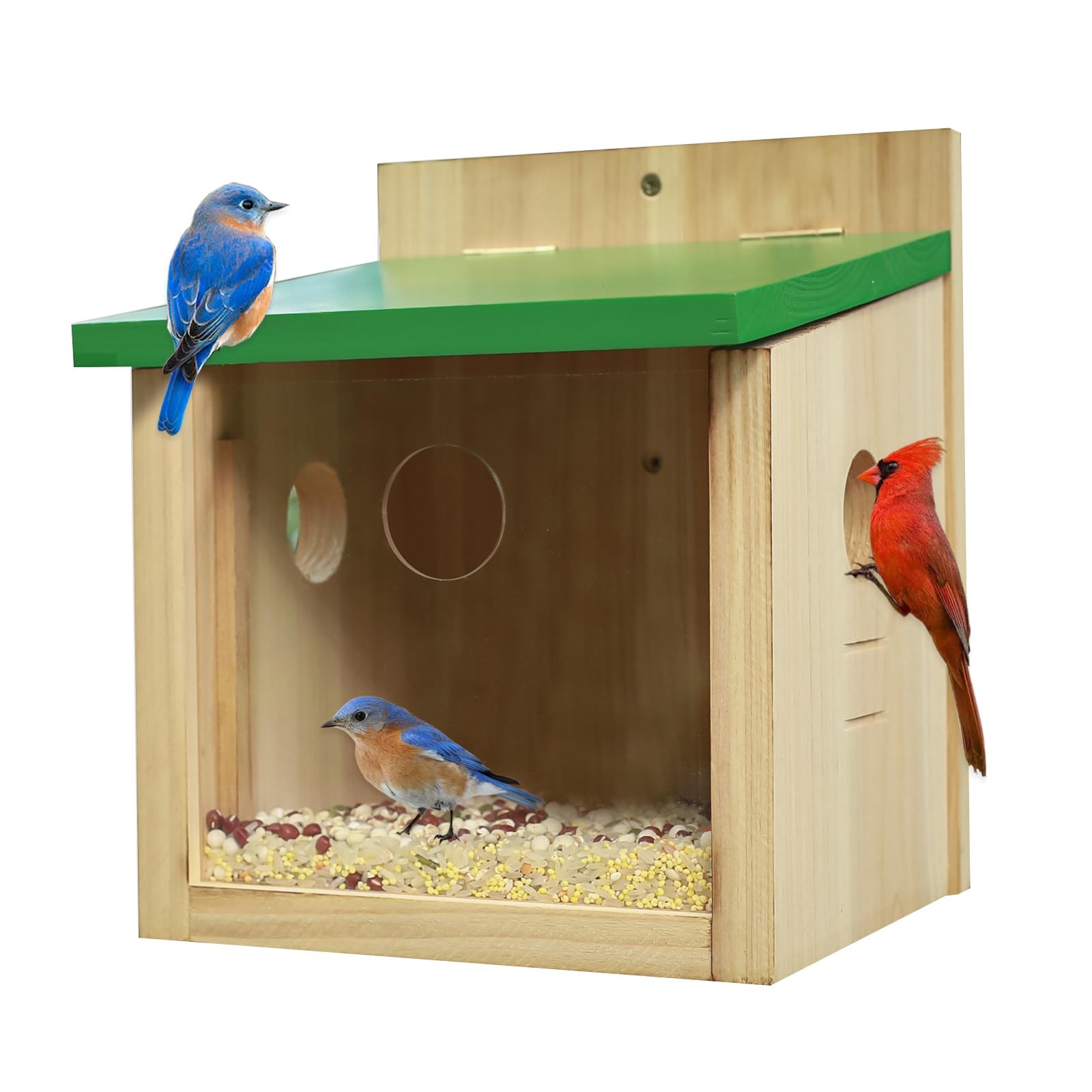 Outdoor Mealworms Feeder For Bluebird ...