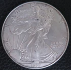 1999 American Silver Eagle 1 Troy Oz .999 Fine Silver mdp1 Encapsulated