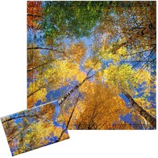 Baquler 2 Pcs 2 x 2 ft Fluorescent Light approx. 2 x 2 ft, as pictures shown