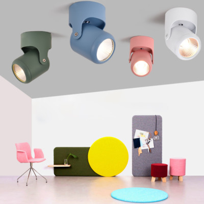 LED COB Ceiling Light Fixture Macaron Picture Lamp Rotatable Project Spotlight