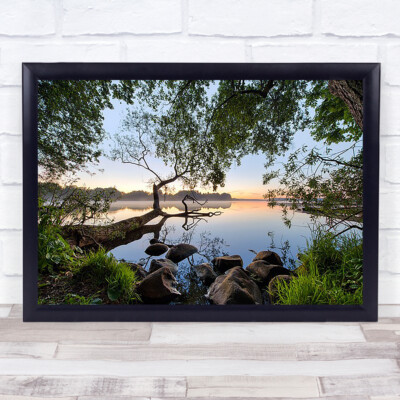 Lake view Tree Log Leaves Water Seascape Still Rocks Wall Art Print