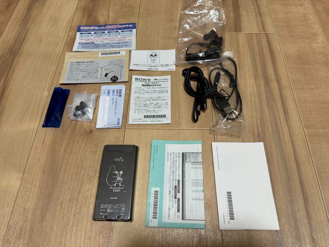 ⭐︎ Sony NW-F807 Walkman MP3 Digital Audio Player Disney Model