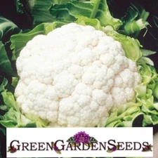 Cauliflower Snowball Y, Cruciferous, Non-GMO| 100 seeds |