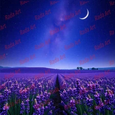 Digital Art Ai Image Picture Photo Wallpaper for Desktop Lavender Field at Night