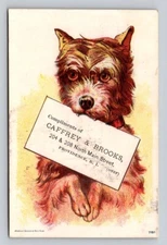 Caffrey Brooks Cook Parlor Stoves Tin Copper Cute Dog Providence RI P152