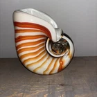 Murano Glass Nautilus Sea Shell Vase HEAVY