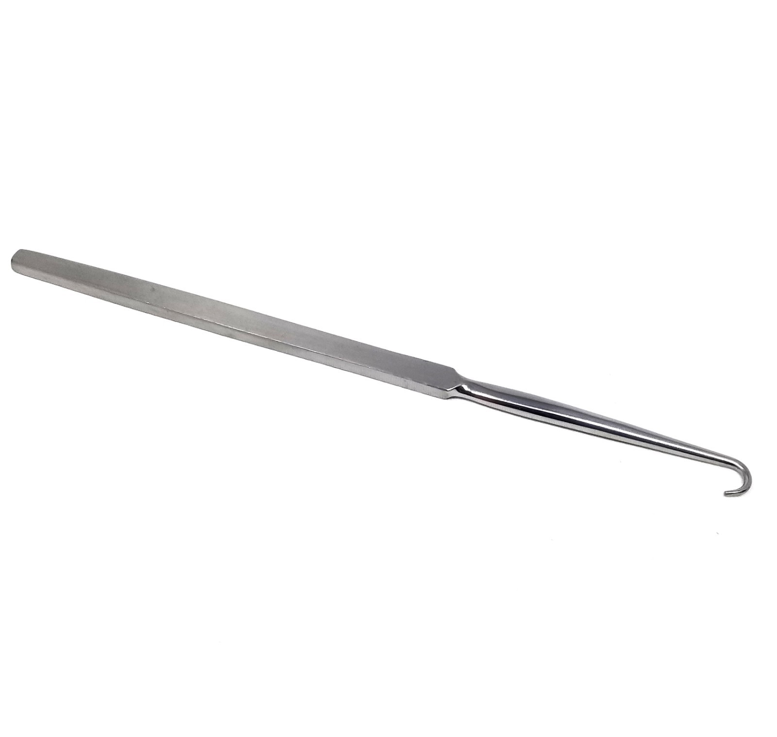 Lab Dissecting Probe with Round Hook | eBay
