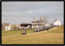 Vintage Postcard Amish Seasons Amish Wedding There is a Season UNP Chrome PA