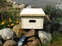 Nistkasten Mauersegler Fertig Montiert, Nisthaus Vogelhaus VogelhäUschen