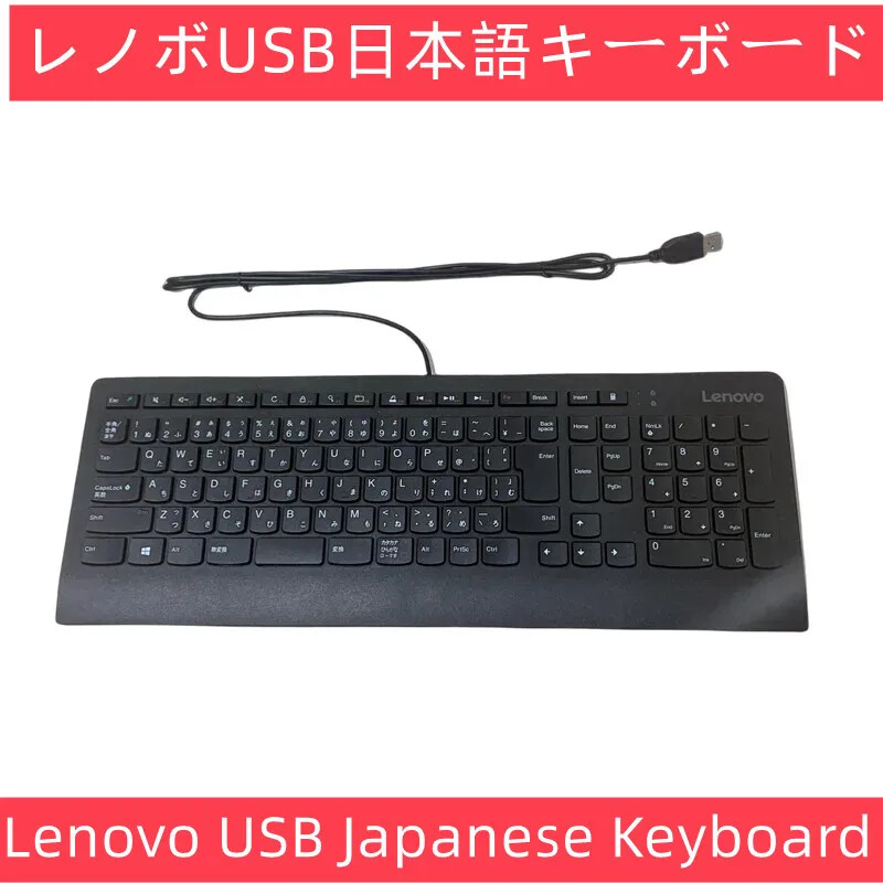 Lenovo Original Japanese Layout USB Wired Keyboard SK8821 | eBay