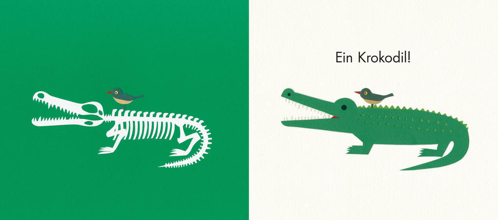 Thumbnail - Knochensalat - Welches Tier Verbirgt Sich Hier? | Chihiro Takeuchi |