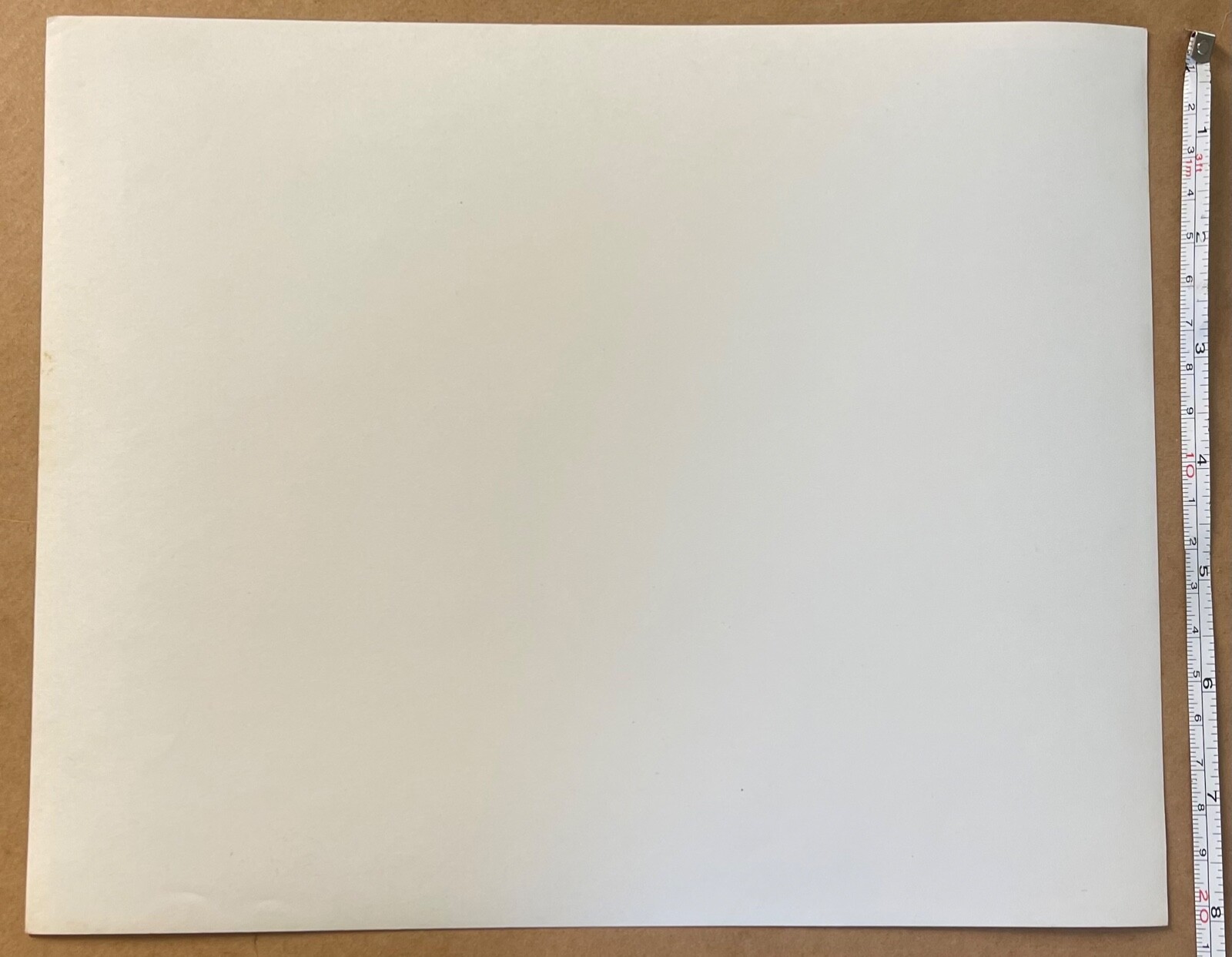 VTG 8x10 B&W Photo 1970s CLEARWATER FLORIDA Airplane Planes Aircraft Airpark COA