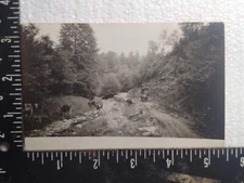 Postcard - Cattles Trees Nature Trail Scenery