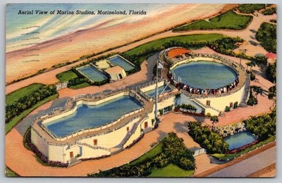 Marineland Florida Marine Studios Aerial View, Vintage Postcard 1941