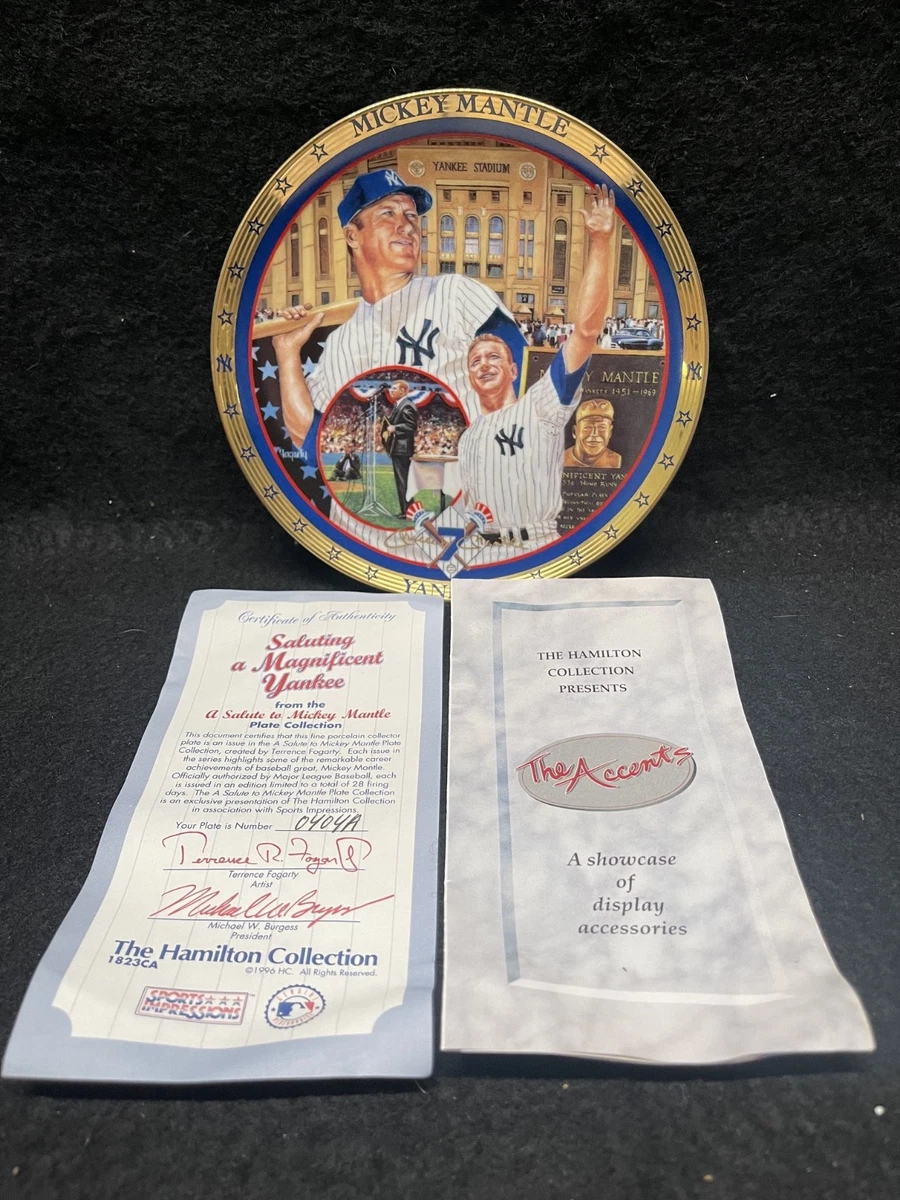 Original Vintage Sports Plates 1995 for sale | eBay
