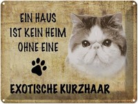 Blechschild 30X40 Cm Exotische Kurzhaar Katze Deko Geschenk Metall Schild